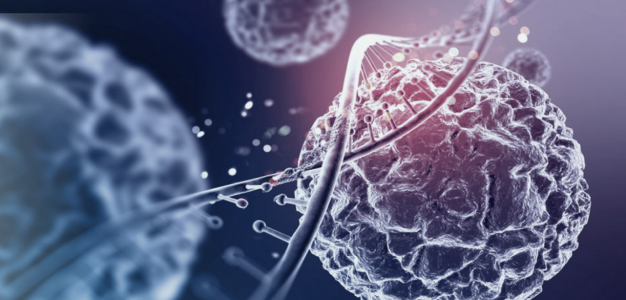 Hucre Destek Nörolojik Tedavi, Nörolojik Tedavi